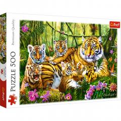 Puzzle 500 piese - Familie de Tigri