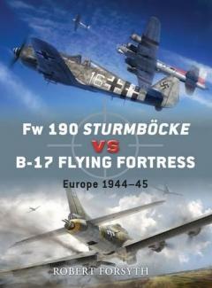 FW 190 Sturmbock Vs B-17
