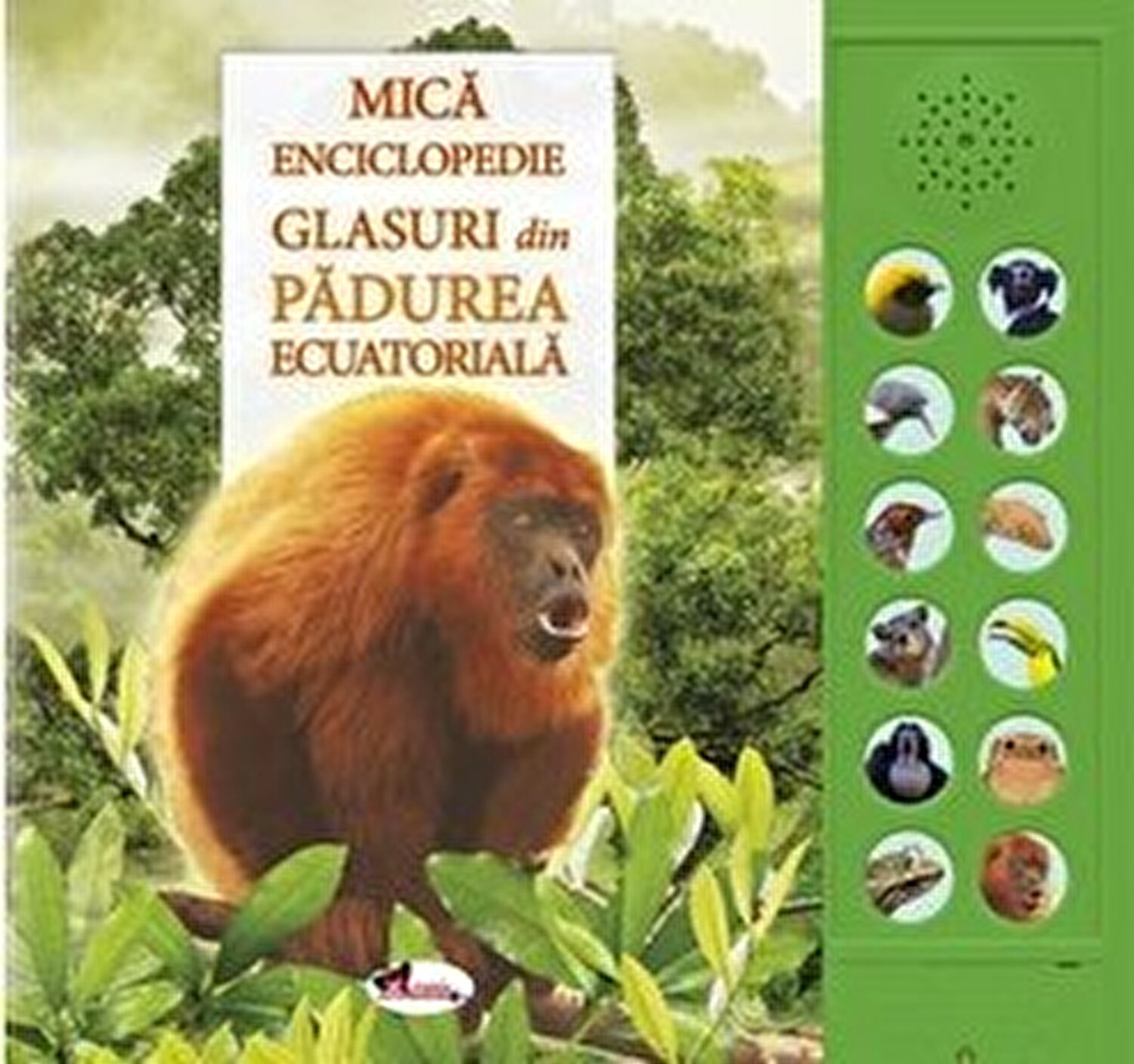 Mica enciclopedie. Glasuri din padurea ecuatoriala