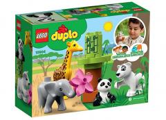 Pui de animale (10904)