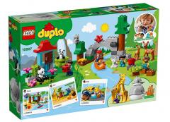 Animalele lumii (10907)