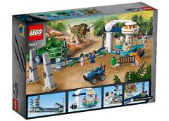 Triceratops dezlantuit (75937)