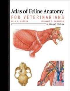Coperta cărții Atlas of Feline Anatomy For Veterinarians