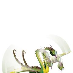 Dragon In Actiune-Braf si Belch