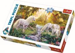 Puzzle 100 Gradina secreta