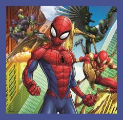 Puzzle 3 in 1, Forta paianjenului
