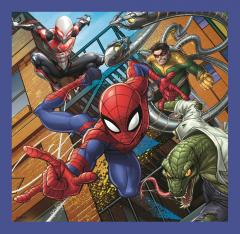 Puzzle 3 in 1, Forta paianjenului