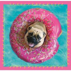 Puzzle 3in1 - Catelusi la baita