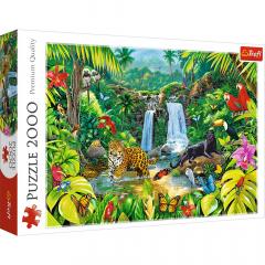 Puzzle Padurea tropicala