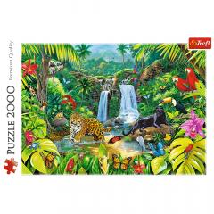 Puzzle Padurea tropicala