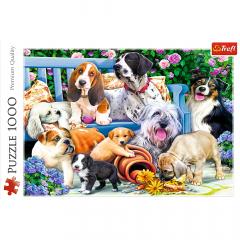 Puzzle Caini in Gradina