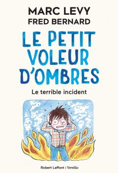 Le petit voleur d'ombres. Le terrible incident