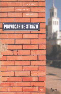 Provocarile strazii