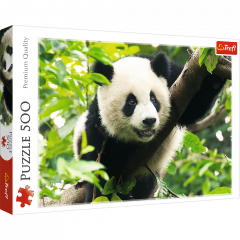 Puzzle 500 piese - Giant Panda