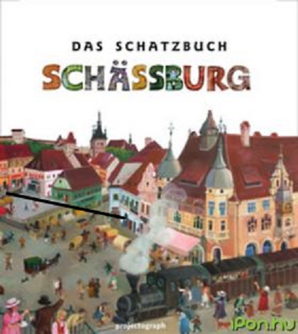 Das Schatzbuch Schassburg 