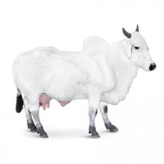 Figurina - Vaca Ongole