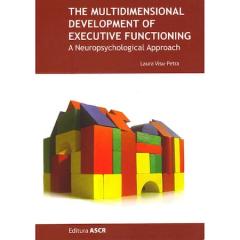 The Multidimensional Development Of Executive Functioning