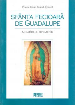 Sfanta Fecioara de Guadalupe