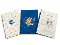 Set carnete - Harry Potter: Ravenclaw Constellation Sewn Notebook Collection