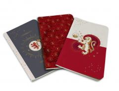 Set carnete - Harry Potter: Gryffindor Constellation Sewn Pocket Notebook Collection