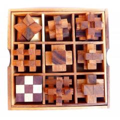 Set puzzle din lemn 9 in 1