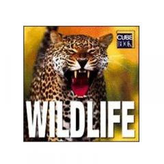 Wildlife (Cube Book)