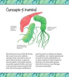 Nu ai vrea sa traiesti fara antibiotice!