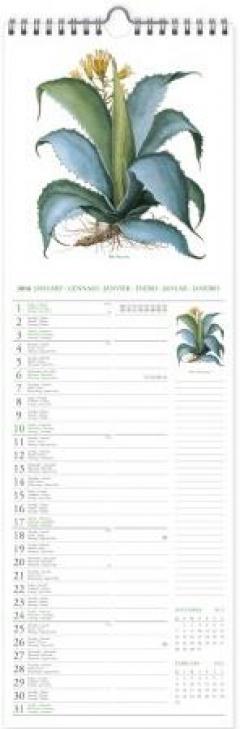 Calendar 2016 - Herbarium