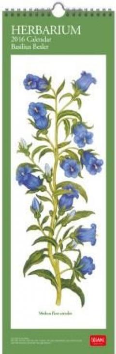 Calendar 2016 - Herbarium