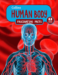 Human Body