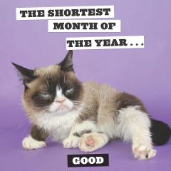 Calendar 2021 - Grumpy Cat