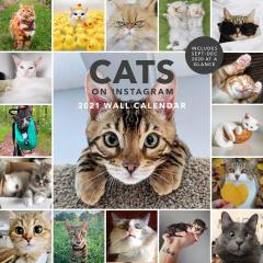 Calendar de perete 2021 - Cats on Instagram