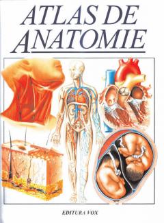 Atlas De Anatomie