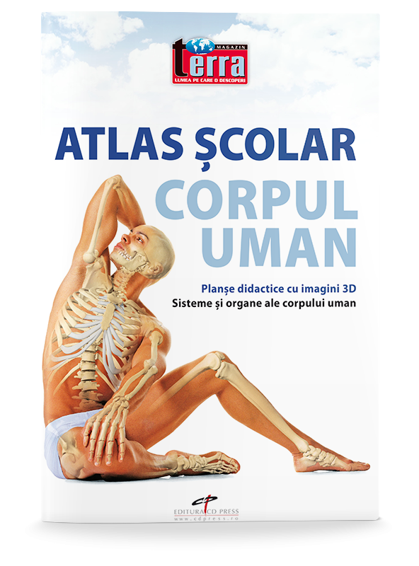 Atlas scolar. Corpul uman