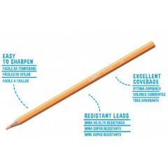 Set 12 creioane colorate Pastel