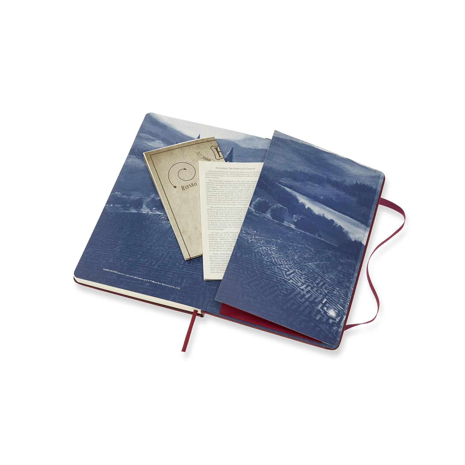 Agenda Moleskine Limited Edition Notebook Large Weekly 18Month Diary