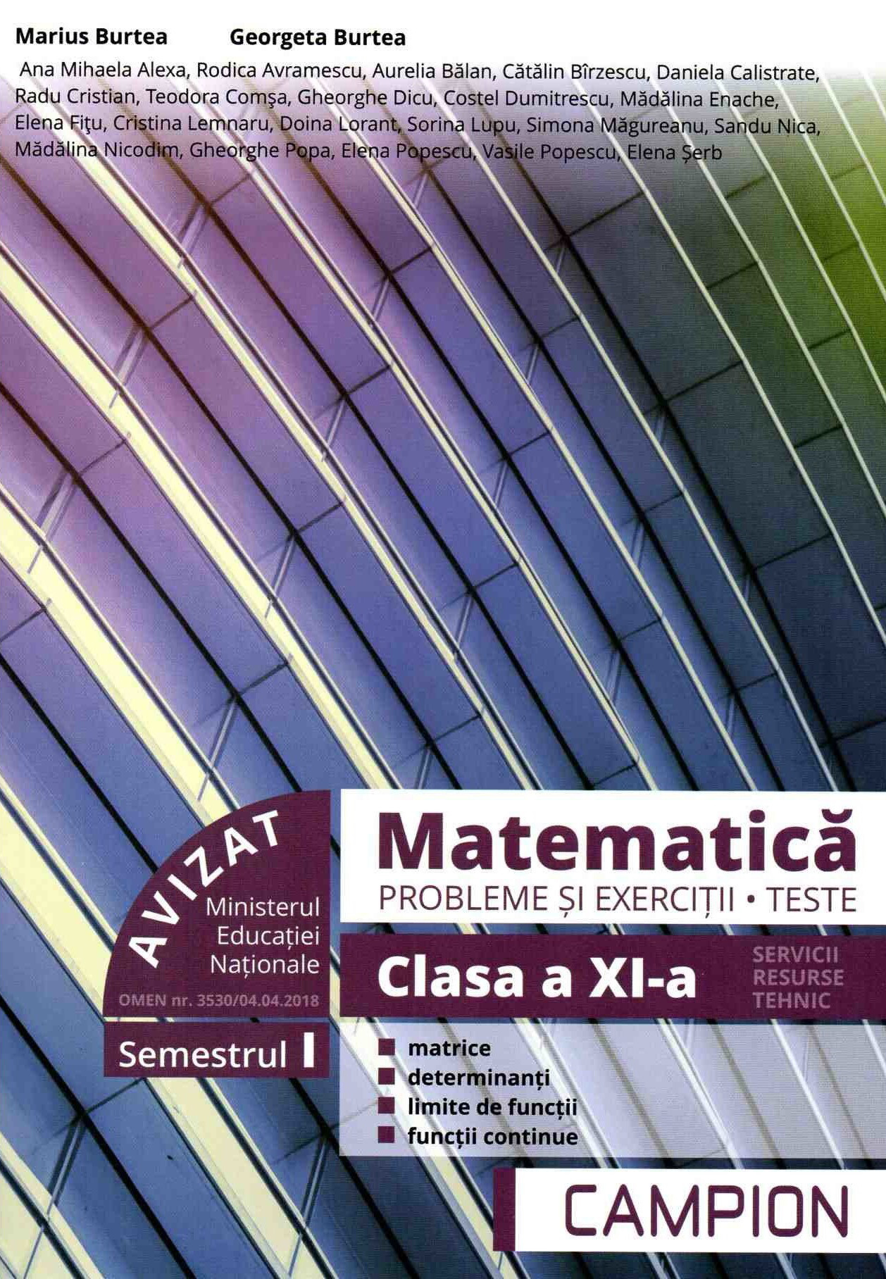 Matematica - Probleme si exercitii, teste - Clasa a XI-a, Semestrul I
