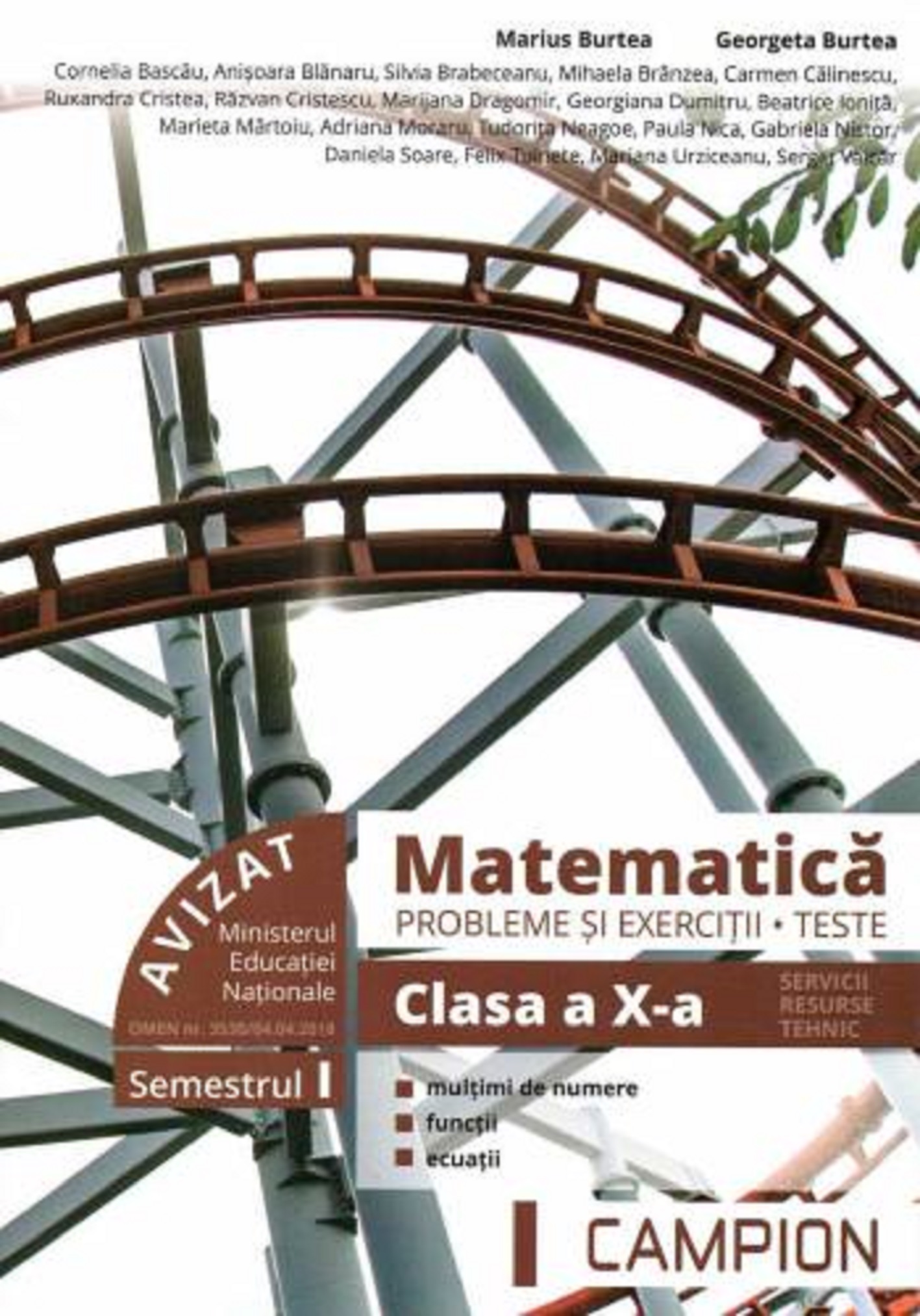 Matematica probleme si exercitii teste clasa a X-a semestrul I. Profil tehnic