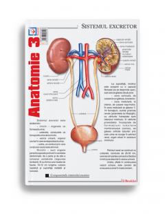 Pliant Anatomie 3