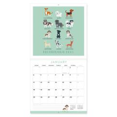 Calendar 2021 - Dogs of the World, 30x29 cm