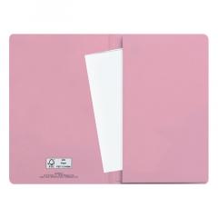 Agenda 2021 - Medium Weekly Planner 12 Months - Flamingos