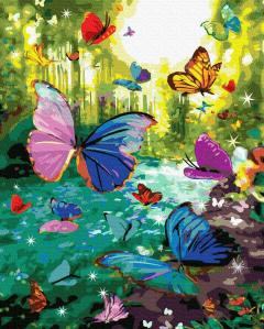 Set pictura pe numere - Butterflies, 40x50 cm