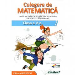 Matematica - Culegere pentru clasa a V-a