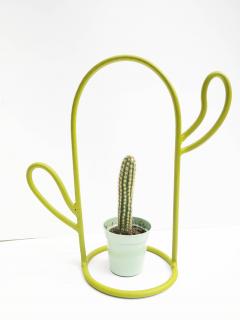 Vaza cactus