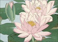 Les fleurs par les grands maitres de l'estampe japonaise