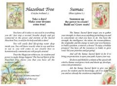 Sacred Trees, Magical Messages, Oracle Cards