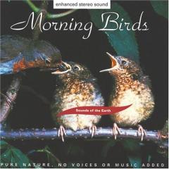 Morning Birds