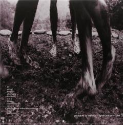 VS - Gatefold remastered and insert Vinyl