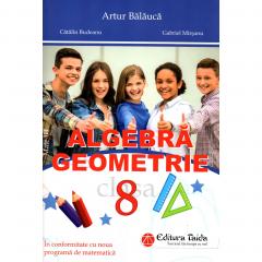 Algebra Geometrie - Clasa a VIII-a
