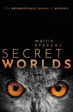 Secret Worlds